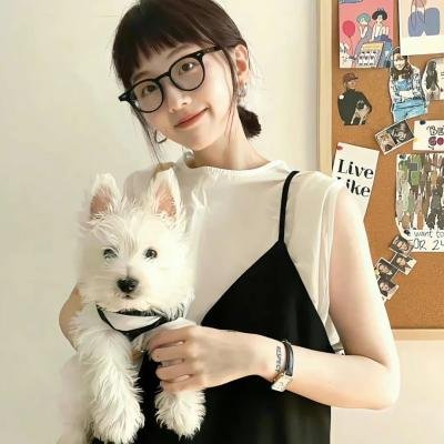 双子座计划